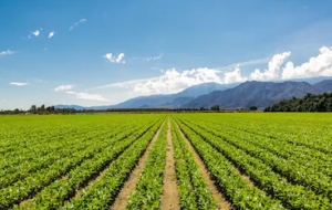 Centre approves ₹2,817 Crore Digital Agriculture Mission