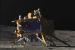 Chandrayaan-3 Detects Historic 250 Seismic Signatures on Moon
