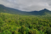 Ozone Pollution Hurts Tropical Forest Growth, Study Finds