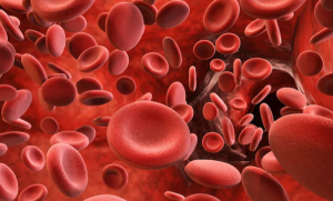 Scientists Discover New Blood Group System MAL