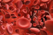 Scientists Discover New Blood Group System MAL