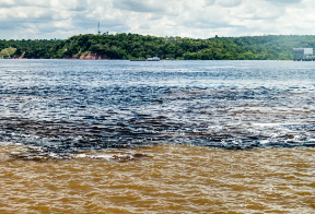 Amazon Faces Severe Drought and Record Wildfires in 2024