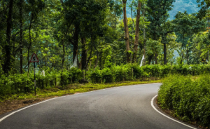 Nagar Van Yojana Surpasses Target with 111 Urban Forests