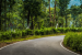 Nagar Van Yojana Surpasses Target with 111 Urban Forests