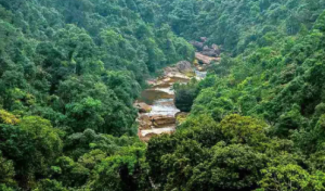 India State of Forest Report (ISFR)2023, Report