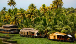 Kerala Tops Urban Governance Index in India