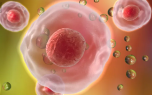 Scientists Discover New Mechanism for Protein Regulation in Cells