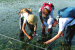 National Biodiversity Strategy and Action Plans Tracker (NBSAP)