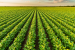 What is National Agriculture Code?