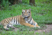 Bihar Gets Approval for Second Tiger Reserve in Kaimur