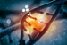 New Research Reveals Spatial Grammar of Gene Expression