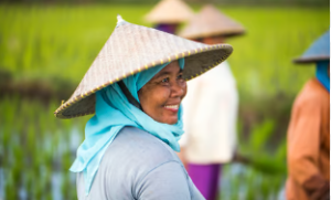 Global Rise in Gender-Responsive Climate Policies Reported