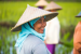 Global Rise in Gender-Responsive Climate Policies Reported