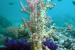 Global Biodiversity Declines 73% Since 1970, Urgent Action Needed