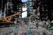 World Bank Establishes Fund to Support Ukraine’s Recovery