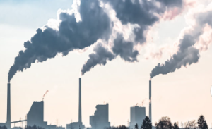 India Issues New Guidelines to Combat Greenwashing Practices