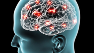 Study Highlights Gut-Brain Link in Parkinson’s Disease