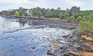 Tamil Nadu Finalises Oil Spill Contingency Plan for Coastline