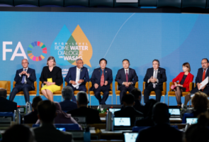 Rome Declaration Addresses Water Scarcity in Agriculture