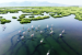 Wetlands Vital in Global Biodiversity Strategies