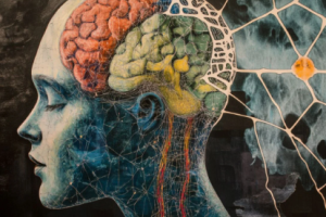 Study Reveals Brain Network Changes Linked to Depression