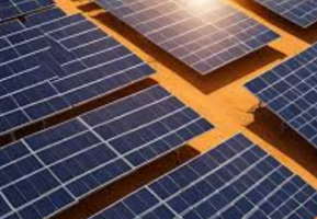 US Detains $43 Million in Indian Solar Panel Shipments