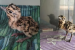 First Baby Great Indian Bustard Chick Born via Artificial Insemination