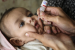 World Polio Day – October 24 – Current Updates (October, 2024)