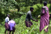 Kadar Tribe Leads Forest Restoration in Kerala