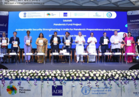 India Launches $25 Million Pandemic Fund for Animal Health
