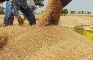 Government Approves ₹10,700 Crore for Food Corporation