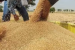 Government Approves ₹10,700 Crore for Food Corporation