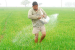 Indian Farmers Faced $120 Billion Implicit Tax Due