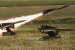 Taiwan’s HAWK Missiles and Ukraine’s Defence Needs