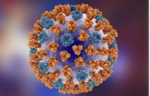 Influenza Trends and Health Advisory 2024