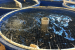 What is Biofloc Technology (BFT) and Recirculating Aquaculture Systems (RAS)?