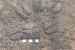 Prehistoric Footprints Discovered in Kerala