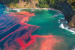 What is Phytoplankton Blooms?