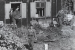 Operation Tamarisk