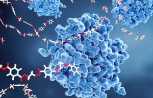 What are Nanozymes?