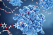 What are Nanozymes?