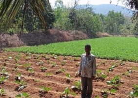 India and ADB Sign $98 Million Horticulture Loan