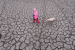 World Drought Atlas 2024: UN Report
