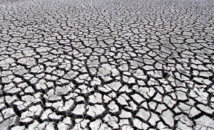 Over 77% of Earth’s Land Became Drier in Last 30 Years: UN Report
