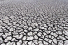 Over 77% of Earth’s Land Became Drier in Last 30 Years: UN Report