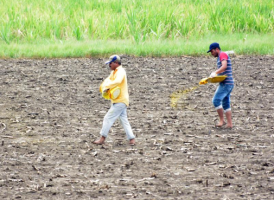India Boosts Agriculture with New Initiatives