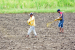 India Boosts Agriculture with New Initiatives