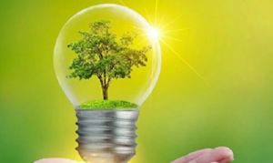 National Energy Conservation Day Observed on December 14