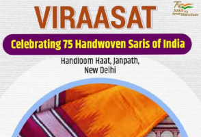 Viraasat Sari Festival 2024