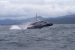 Record-Breaking Humpback Whale Migration